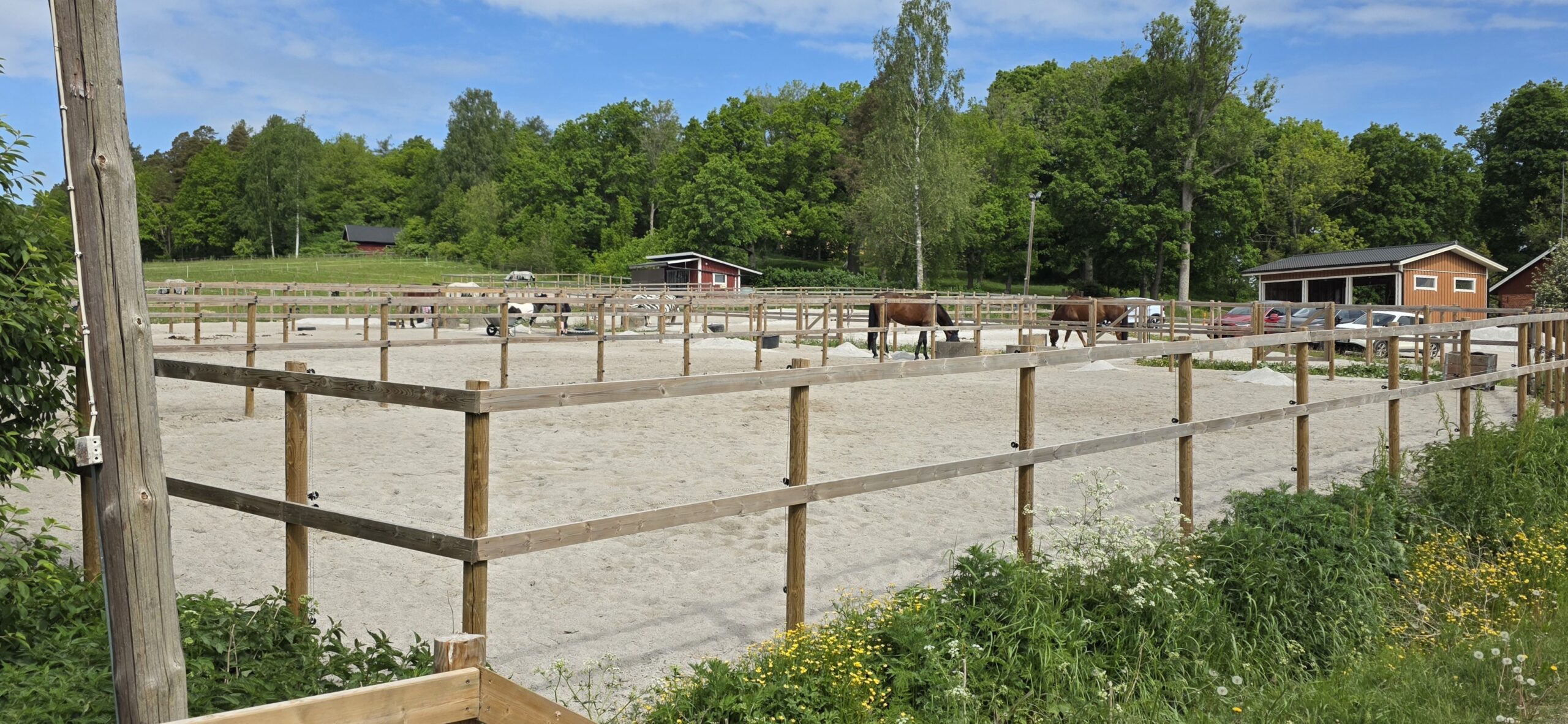 Hevosia aitauksissa Wiurilan Talleilla