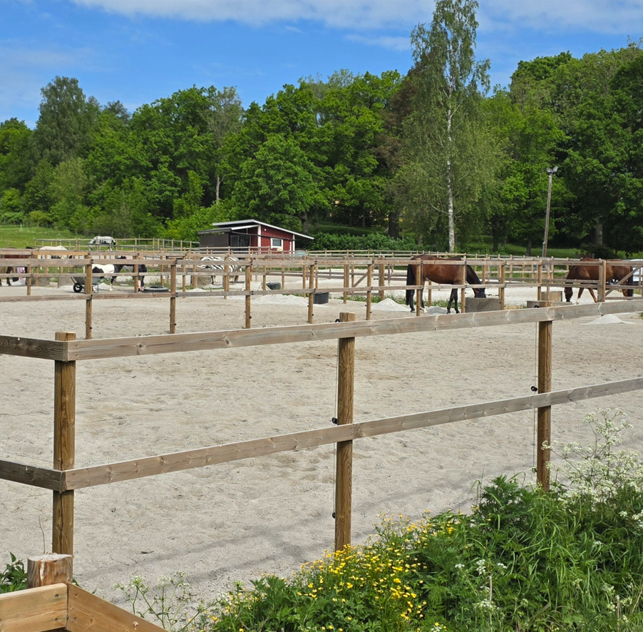 Wiurilan Talleilla on edelleen hevostoimintaa